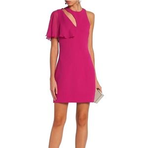 Cushnie et Ochs Dress